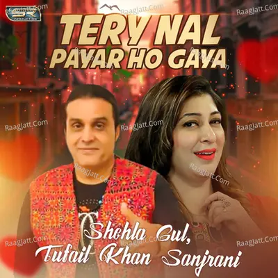 Tery Nal Payar Ho Gaya - Single Cover
