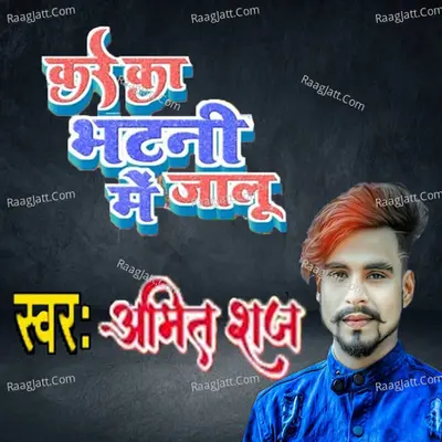 Kare Ka Bhatni Me Jalu Cover
