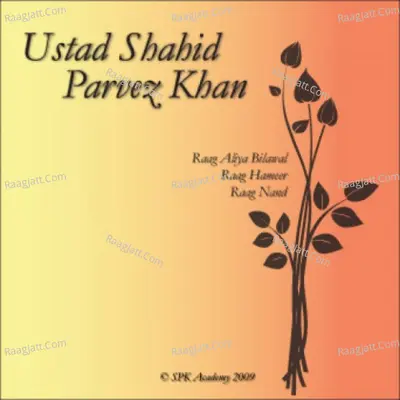 Shahid Parvez - Raag Rageswari On Sitar