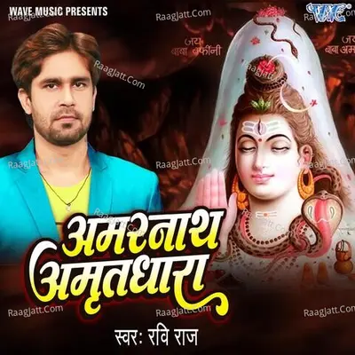 Amarnath Amritdhara Cover