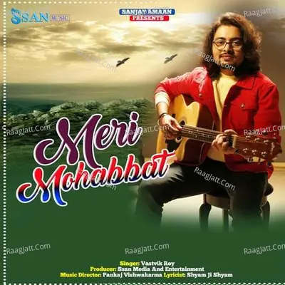 Meri Mohabbat Cover