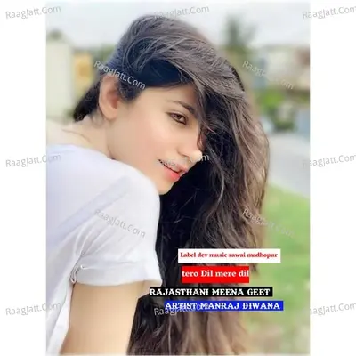 tero Dil mere dil Cover
