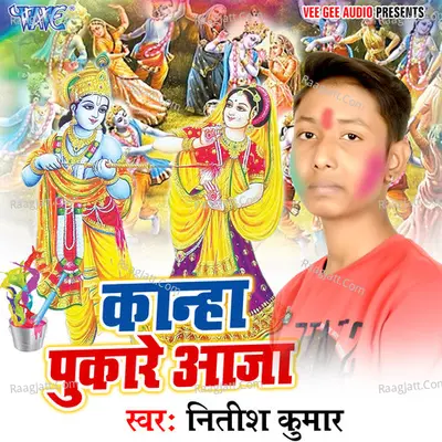 Kanha Pukare Aaja Cover