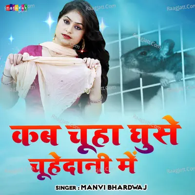 Kab Chuha Ghuse Chuhedani Mein