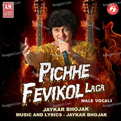 Pichhe Fevikol Laga (Male Vocals) - Single