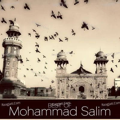 Best of Mohammad Salim - Mohammad Salim
