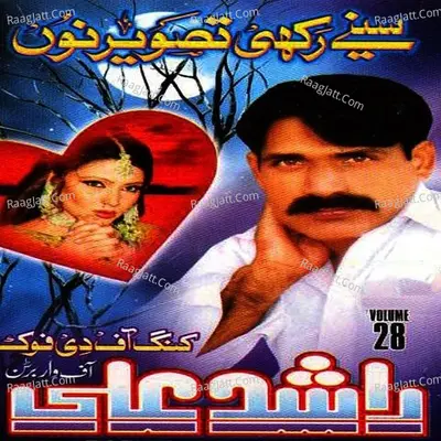 Sinay Rakhi Tasweer Nu, Vol. 28 Cover