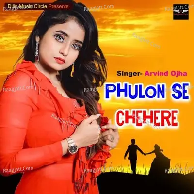 Phulon Se Chehere Cover