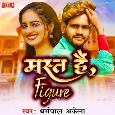 Mast Hai Figure Cover