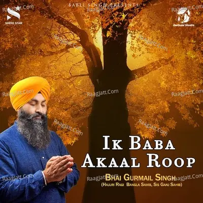 Ik Baba Akaal Roop Poster