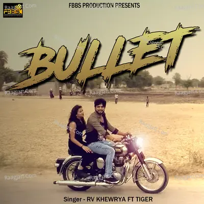 Bullet Cover