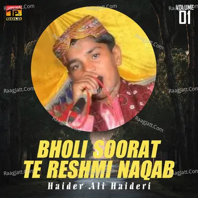Bholi Soorat Te Reshmi Naqab, Vol. 1 - Haider Ali Haideri