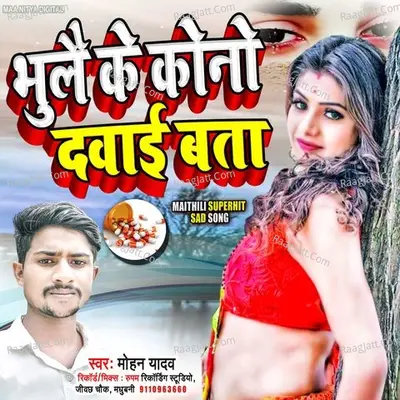 Mohan Yadav Image