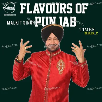 Flavours Of Punjab Poster