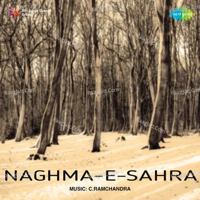 Naghma - E - Sahra Poster