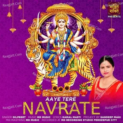 Aaye Tere Navrate
