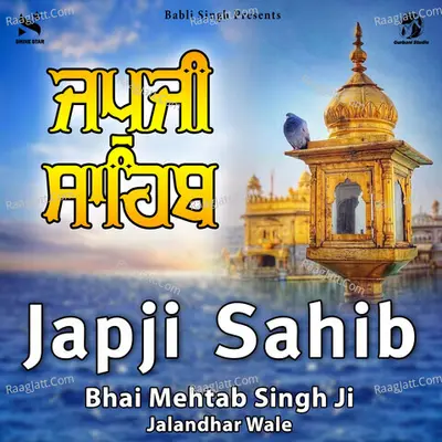 Bhai Mehtab Singh Ji Jalandhar Wale Image