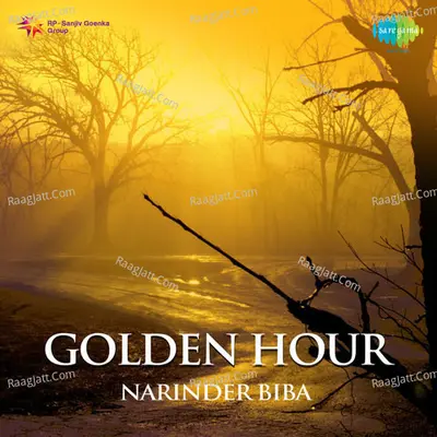 Golden Hour - Narinder Biba - Narinder Biba