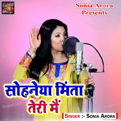 Sohneya Minta Teri Main Poster
