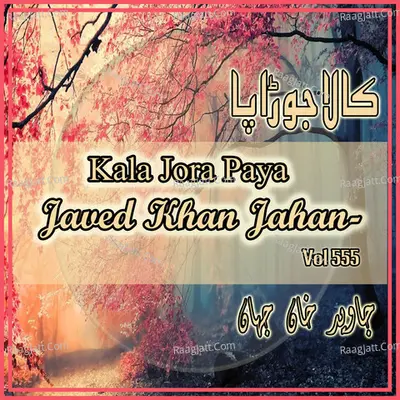 Kala Jora Paya, Vol. 555 Poster