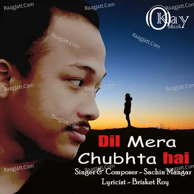 Dil Mera Chubta Hai Cover