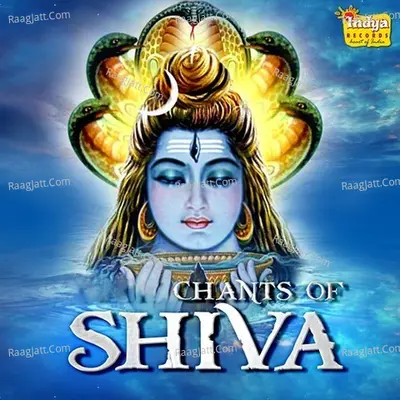 Chants Of Shiva Poster