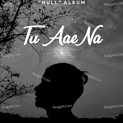 Tu Aae Na (From "Null") Cover