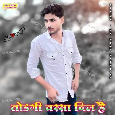 Todgi Wassa Dil Hai Poster