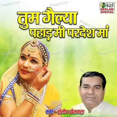 Tum Gelya Pahad Me Pardesh Ma Cover
