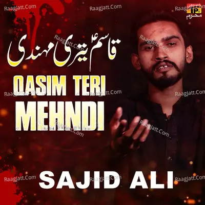 Qasim Teri Mehndi - Single Cover