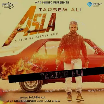 Tarsem Ali Image