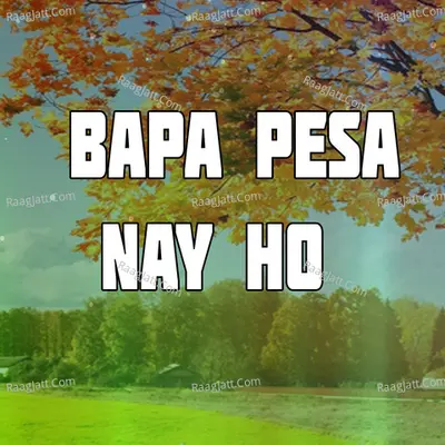 Bapa Pesa Nay Ho