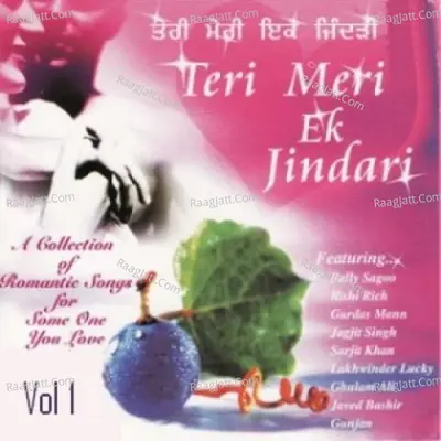 Teri Meri Ek Jindari Vol 1 Poster