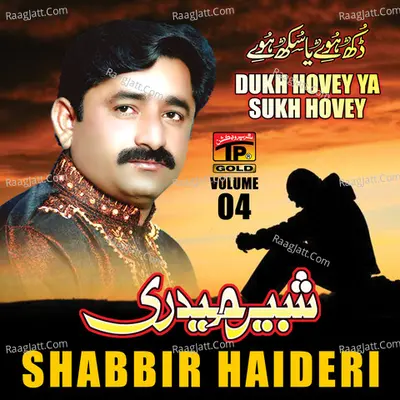 Dukh Hove Ya Sukh Hove, Vol. 4 - Shabbir Haidri