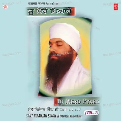 Tu Mero Pyaro - Sant Niranjan Singh