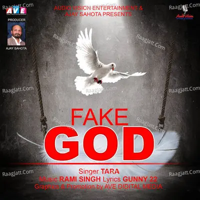 Fake God Cover