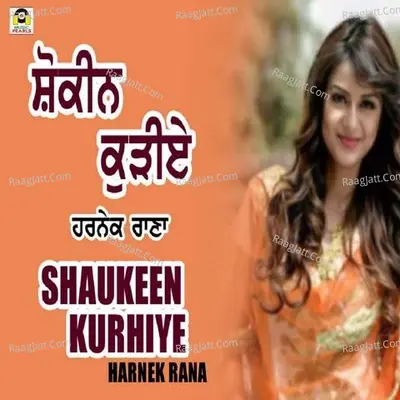 Shaukeen Kurhiye Cover