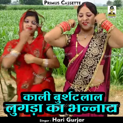 Kali burshat lal lugada ka bhannata Cover
