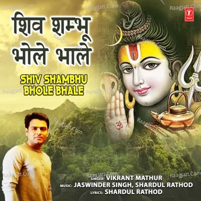 Vikrant Mathur Image