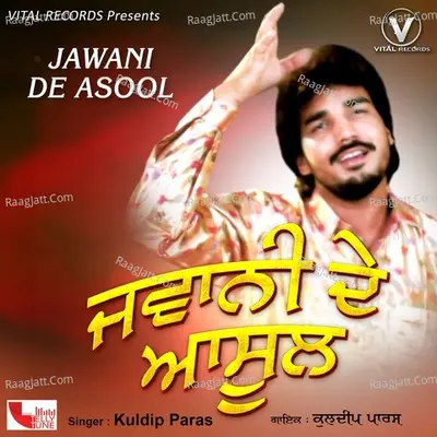 Jawani De Asool Cover