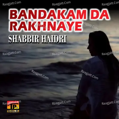 Banda Kam da Rakhnaye Poster
