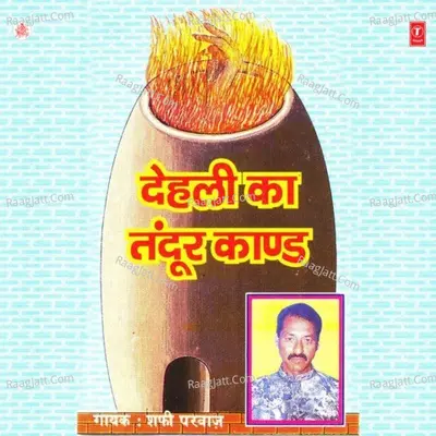 Delhi Ka Tandoor Khand - Safi Parwaz