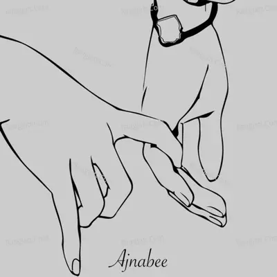 Ajnabee