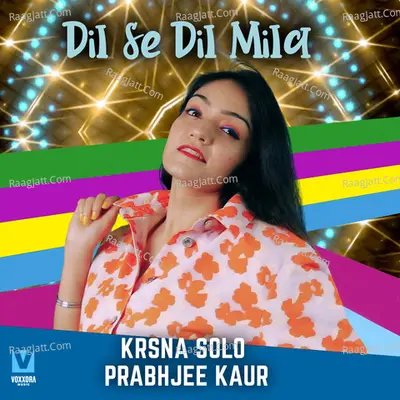 Dil Se Dil Mila Cover