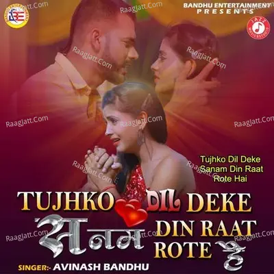 Tujhko Dil Deke Sanam Din Raat Rote Hai Cover
