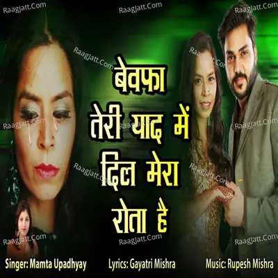 Bewafa Teri Yaad Me Dil Mera Rota Hai - Single