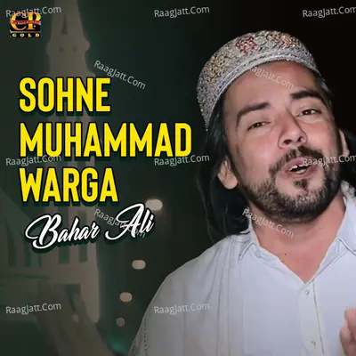 Bahar Ali Image