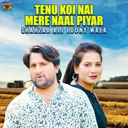Tenu Koi Nai Mere Naal Piyar - Single