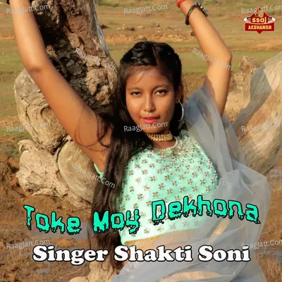 Toke Moy Dekhona Cover