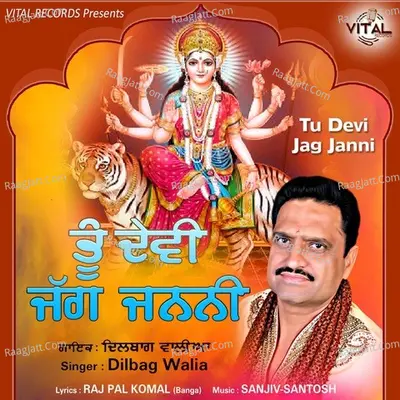 Tu Devi Jag Janni Poster